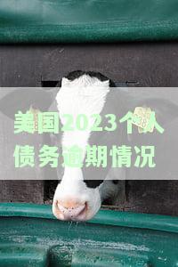 美国债务上限推至何时及原因解析