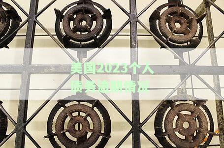 美国2023个人债务逾期情况-美国2023个人债务逾期情况如何