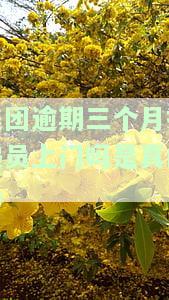 美团逾期3个月3000多元，真的会上门要账吗？