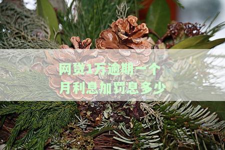 网贷1万逾期一个月利息加罚息多少钱？请看详解