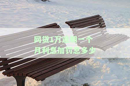 网贷逾期一万罚息怎么算，计算网贷逾期一万的罚息，你需要知道这些关键信息