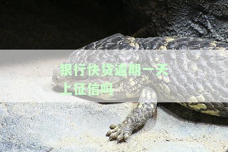 银行快贷逾期一天上征信吗-银行快贷逾期一天上征信吗有影响吗