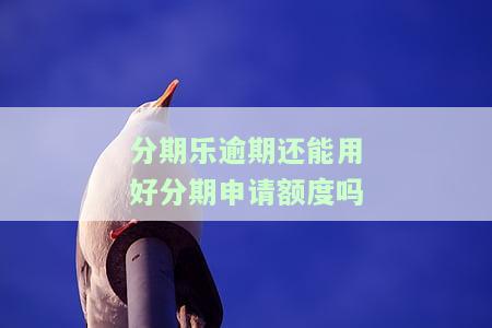 分期乐逾期后能否申请信用卡？影响及解决方法