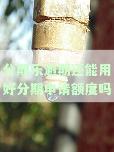 分期乐逾期了,但是还要额度可以借吗，分期乐逾期未还，但仍可申请额度？