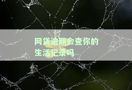网贷逾期会查生活记录？教你应对办法！