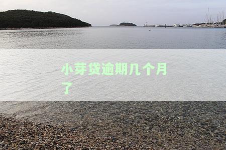 小芽贷逾期几个月了会怎么样，小芽贷逾期数月，可能面临的后果是什么？