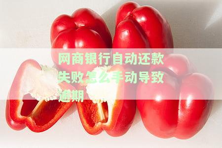 网商银行自动还款失败：如何手动处理以避免逾期？