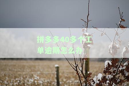 拼多多40多个工单逾期怎么办理，紧急处理！拼多多40多个工单逾期，如何解决？