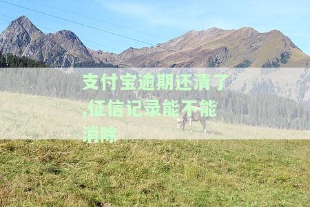 支付宝逾期后还款，多久能恢复征信？