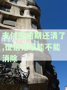 支付宝逾期还清了，征信记录能不能消除-支付宝逾期还清了,征信记录能不能消除了