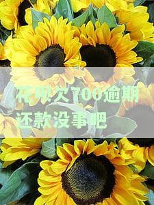 花呗欠700逾期还款没事吧？解决方案全在这里！