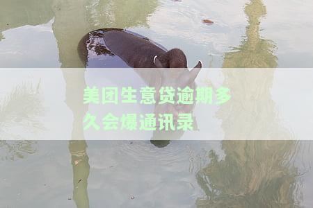 美团生意贷逾期三个月还了，却被要求结清全款：逾期几个月没还的后果有多严重？如何处理逾期后还完但又被要求还款的情况？