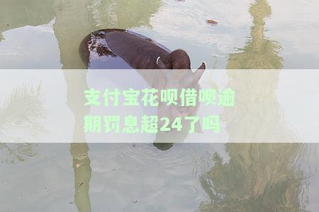 支付宝花呗借呗逾期的罚息合法，探讨支付宝花呗、借呗逾期罚息的合法性问题