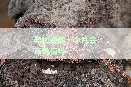 美团逾期一周封微信，如何解冻？