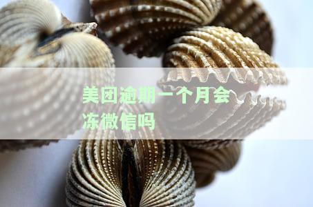 美团逾期一个月会冻微信吗