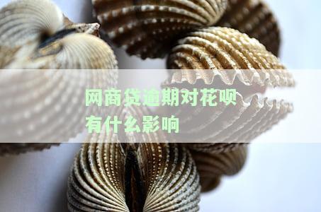 网商贷逾期对花呗有什么影响