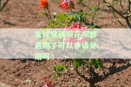 借呗花呗逾期了还能使用支付宝付钱吗，逾期还款后，能否继续使用支付宝进行支付？——借呗、花呗逾期影响解析