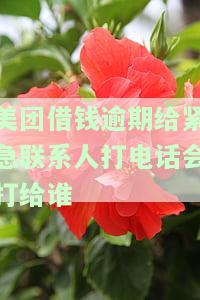 美团借钱逾期，紧急联系人会受到什么影响？