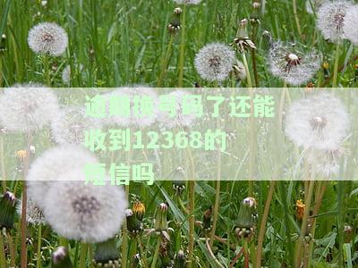 逾期换号码后如何处理仍能收到12368短信？