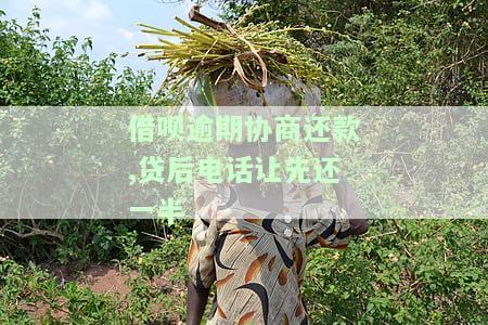 借呗协商还款成功经过，成功协商借呗还款：我的经验分享
