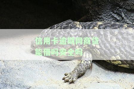 信用卡,网贷逾期，警惕！信用卡、网贷逾期的后果你真的了解吗？
