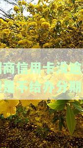 招商银行：无逾期为何无法申请分期还款？
