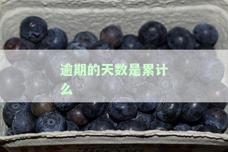 逾期天数计算公式及其Excel表格教程