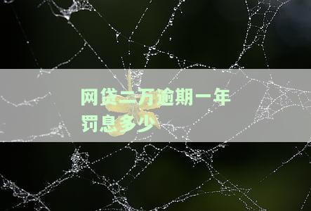 网贷借款两万逾期一年应还本金及利息总额是多少？
