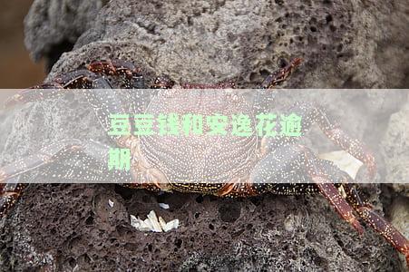 豆豆钱和安逸花平台都正规吗，探讨豆豆钱和安逸花平台的合法性