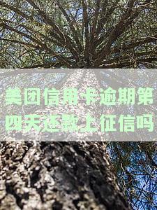 美团逾期会影响信用卡吗，美团逾期是否会影响您的信用卡？