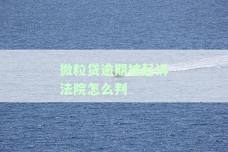 欠微粒贷逾期未还被起诉开庭该怎么办，欠微粒贷逾期未还，被告上法庭：如何应对开庭？