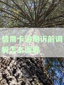 欠信用卡诉前调解，解决信用卡债务问题：诉前调解是一种有效途径