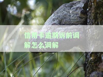给信用卡起诉,调解不去会怎么样，信用卡被起诉后，拒绝调解会有哪些后果？