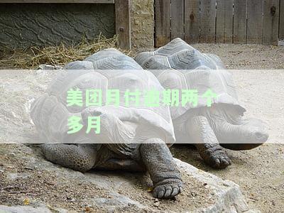 美团月付逾期两个多月-美团月付逾期两个多月怎么不自动扣款了