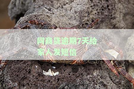 网商贷逾期通知内容：详细解析与注意事