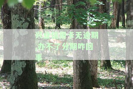 兴业无法办理分期：原因及解决办法
