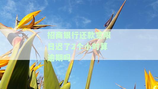 招商银行还款宽限日了2小时算逾期？详解计算方法