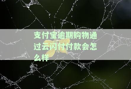 支付宝逾期了还能扫码使用么，支付宝逾期后，能否继续正常使用扫码功能？