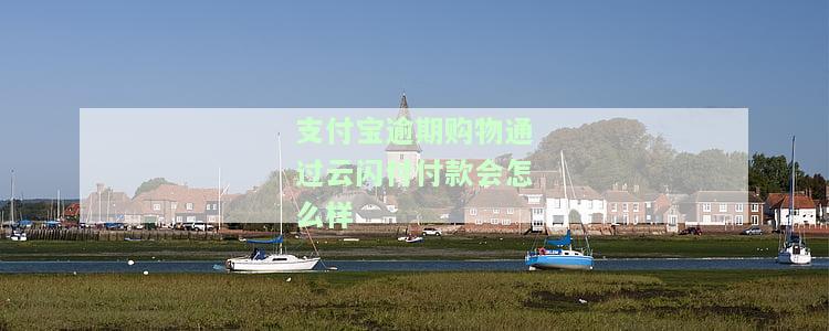 支付宝逾期如何支付，支付宝逾期还款指南：教你如何及时偿还欠款