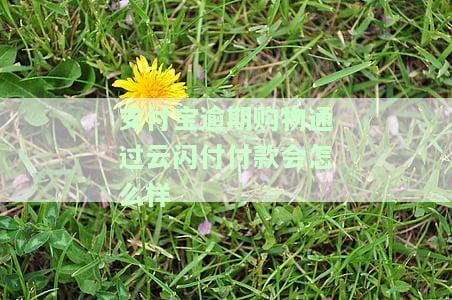支付宝逾期购物通过云闪付付款会怎么样