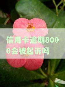信用卡逾期8000会被起诉吗？可能面临几年牢狱之灾