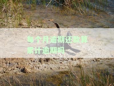 每月逾期还款算累计逾期？计算方法及利息如何确定？