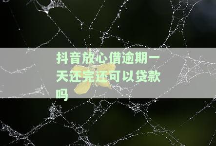 抖音放心借逾期一天还款后是否还能再贷款？安全性如何？