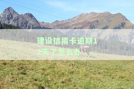 建设信用卡逾期12天了怎么办呢，信用卡逾期12天，应该采取哪些应对措？