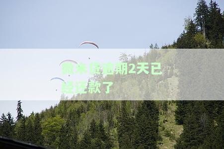 微米贷还款后不给贷了：原因与解决办法