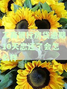 工商银行房贷还款逾期一天补救办法，及时补救！工商银行房贷还款逾期一天的解决方法