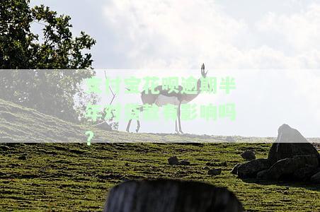 支付宝花呗逾期半年会成为黑户吗？解决办法及知乎解析