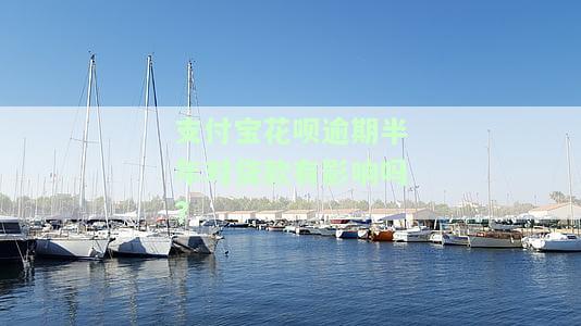 支付宝花呗逾期半年对贷款有影响吗?-支付宝花呗逾期半年对贷款有影响吗知乎