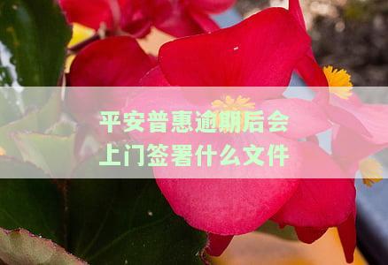 平安普逾期两个月,说要上门送材料，平安普逾期两个月，收到上门送材料通知，该怎么办？