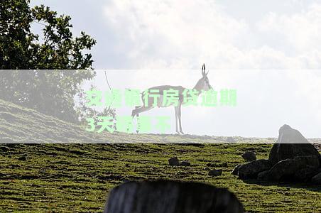交通银行房贷逾期一天会否影响征信？